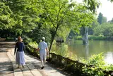 石神井公園