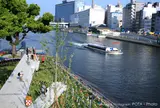 中之島公園で川を見ながら散歩。