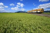 一畑電車で田園風景と宍道湖の景色を楽しむ。
