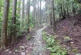 熊野古道 丸山千枚田・通り峠コース
