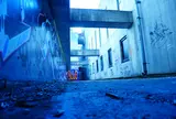 ワンダーフォーゲルフィールド