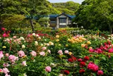 鎌倉文学館