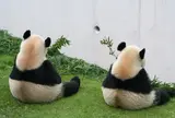 アドベンチャーワールド