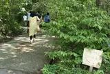 越前焼 土本工房
