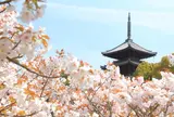 世界遺産 仁和寺