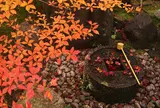 金福寺