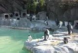 上野動物園