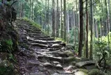 熊野古道　松本峠〜花の窟