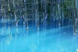 白金の青い池