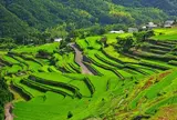 中山千枚田