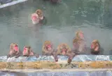函館市熱帯植物園