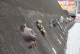とこなめ招き猫通り