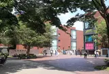 東京都美術館