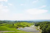 扇田