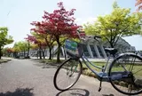 ふるさとを偲ぶ散歩道