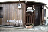 Camburi