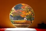 明月院（あじさい寺）