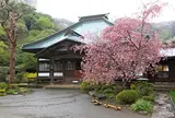 海蔵寺