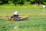 三種町