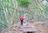 糸島のトトロの森