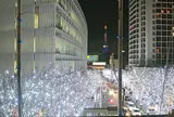 六本木ヒルズけやき坂通り