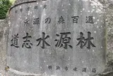 山伏峠 道志水源林
