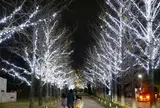 学びの森