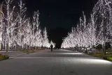 みんなの森 メディアコスモス