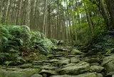 熊野古道 馬越峠
