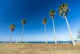 北条海岸