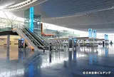 8:30 羽田空港
