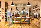 Steven Alan