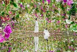 チームラボプラネッツ TOKYO (teamLab Planets TOKYO) DMM