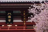 鶴岡八幡宮