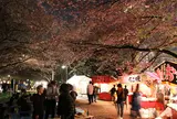 芝公園