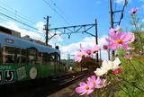 等持院駅～とうじいんえき～