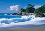 桂浜