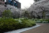 天空の、秘密の花園