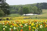 国営武蔵丘陵森林公園