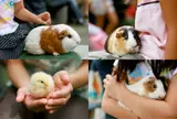 こども自然公園