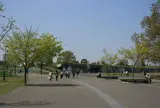 緑の文化ゾーン