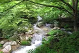 花貫渓谷