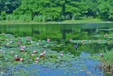 見沼自然公園