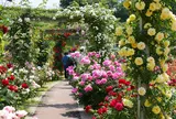 花フェスタ記念公園