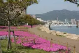 大津湖岸なぎさ公園