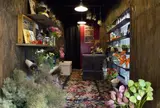 THE LITTLE SHOP OF FLOWERS/リトル