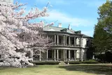 清泉女子大学 旧島津公爵邸