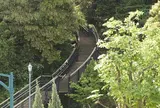 港の見える丘公園(2) フランス山地区の高地部