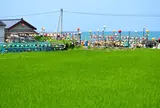 岩谷口
