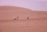 鳥取砂丘